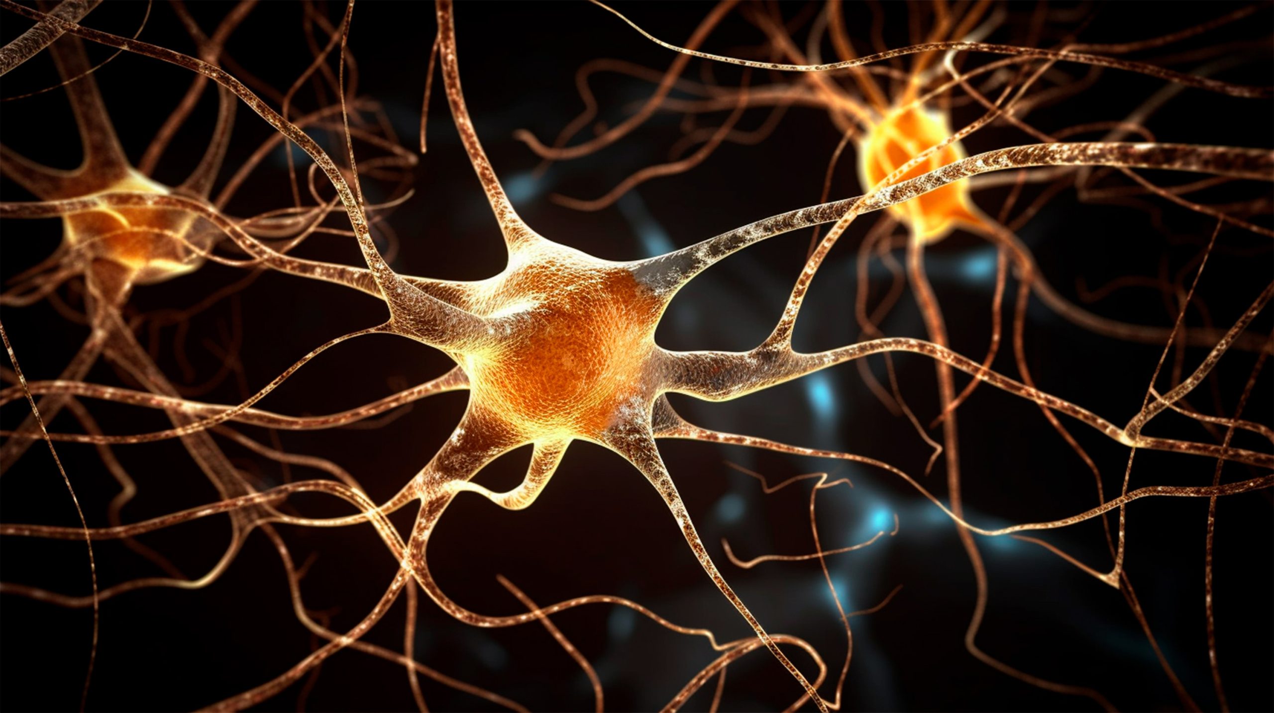 Glowing neural network animation forming human silhouette with blue and gold light representing brain optimization and neurofeedback technology